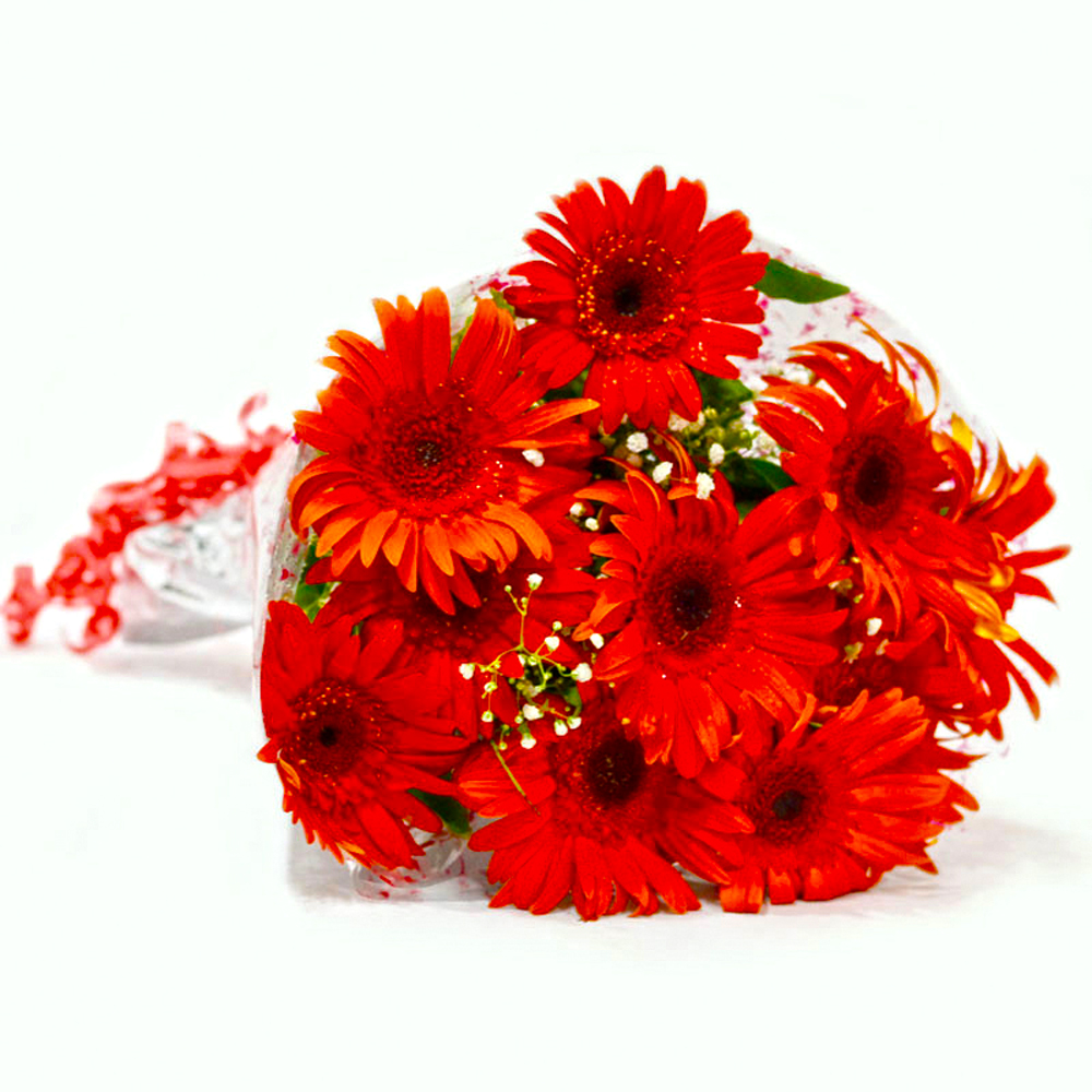 Bunch of Ten Red Gerberas