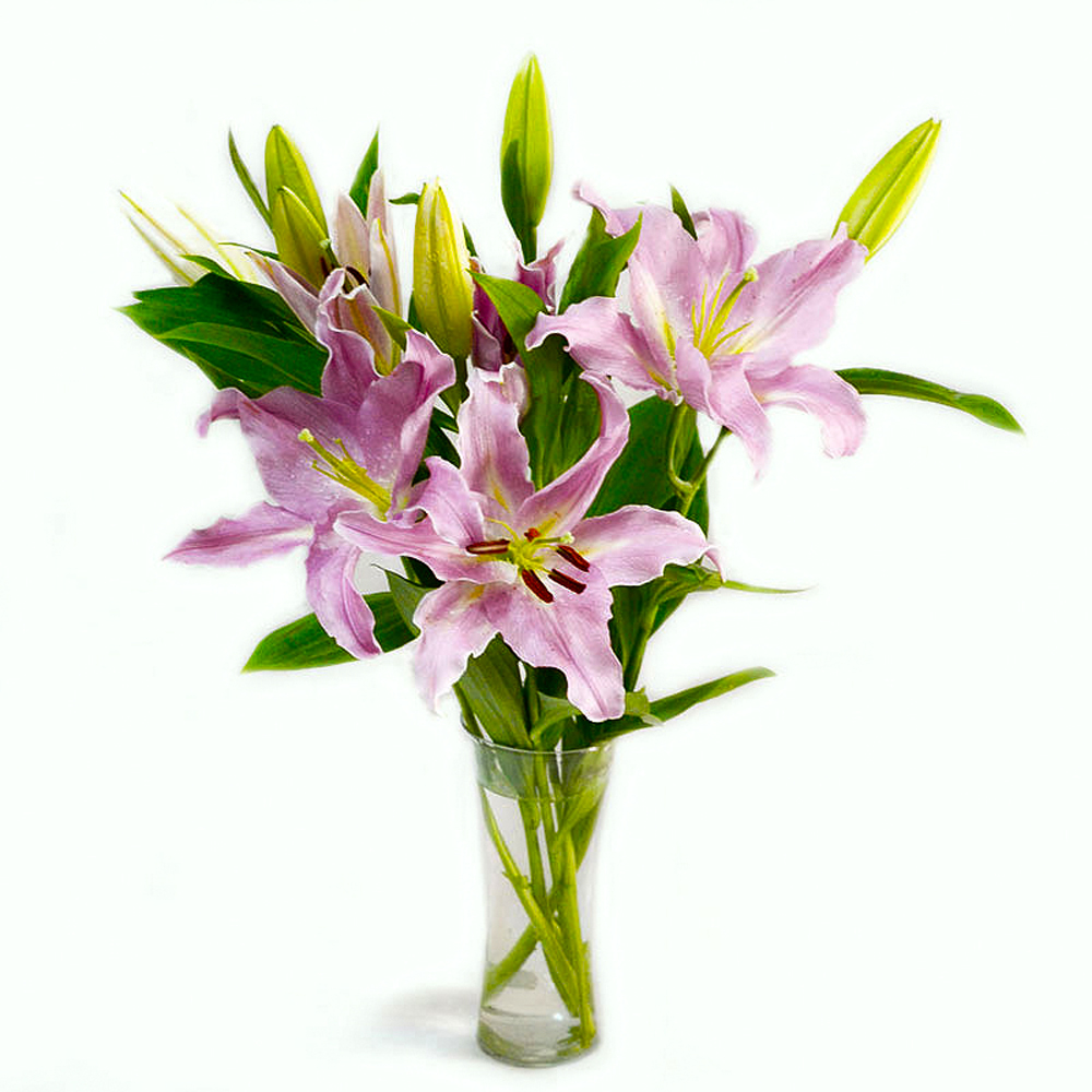 Glass Vase of 6 Stems Lilies
