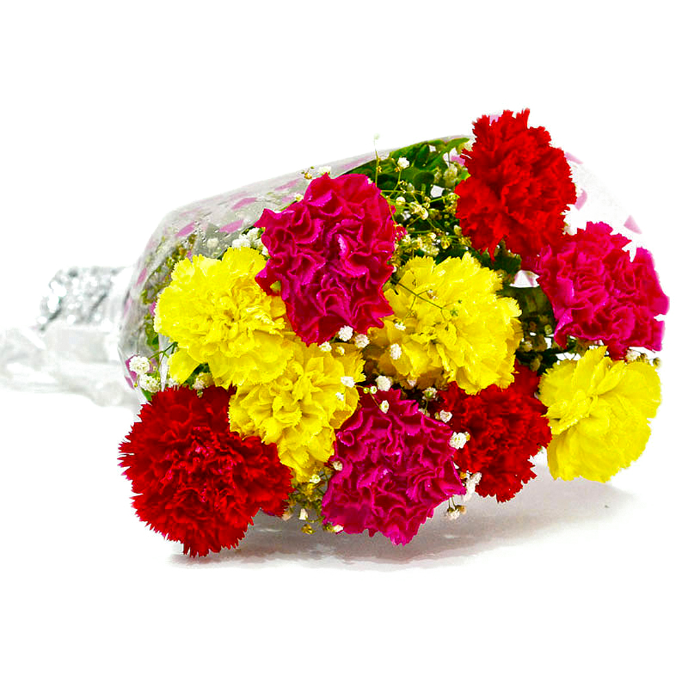 Bouquet of Ten Colorful Carnations