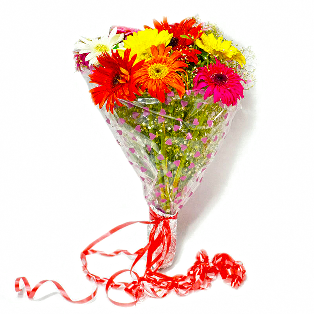 Ten Colorful Gerberas Bouquet