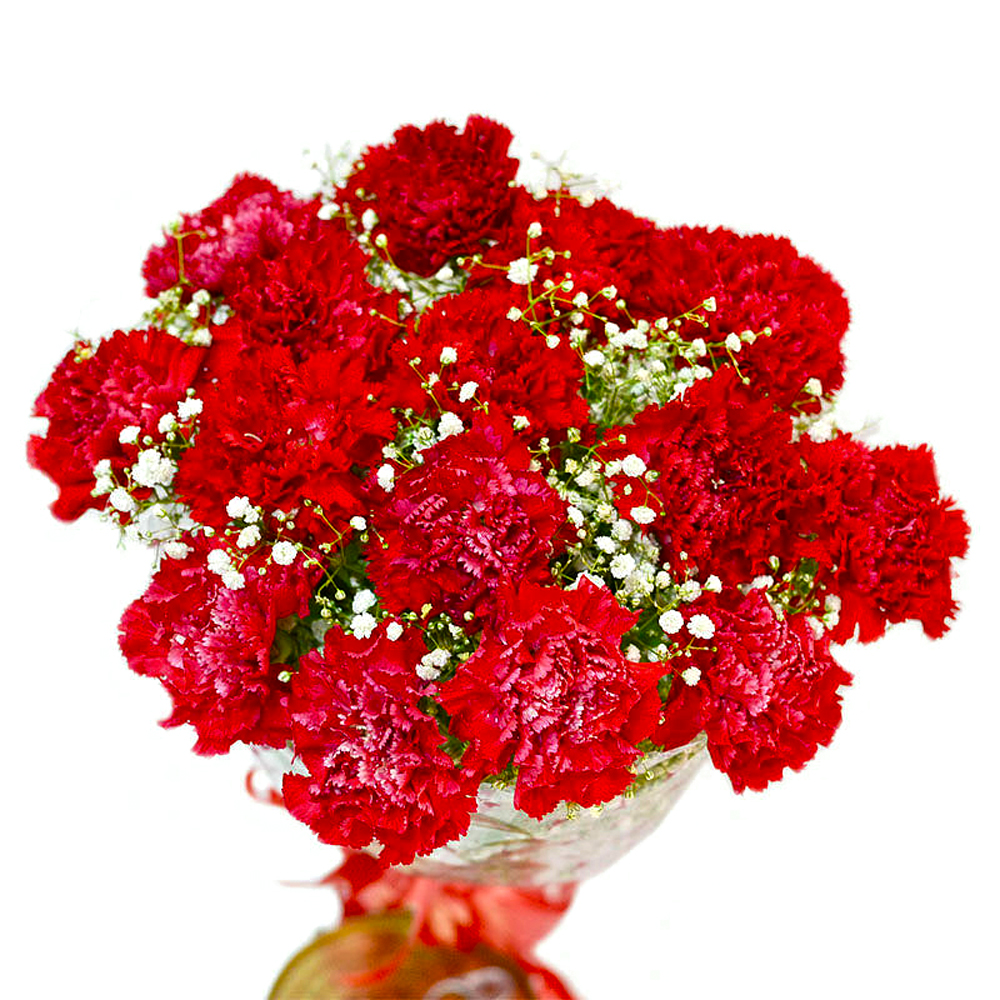 Romantic Fifteen Red Carnations Bouquet