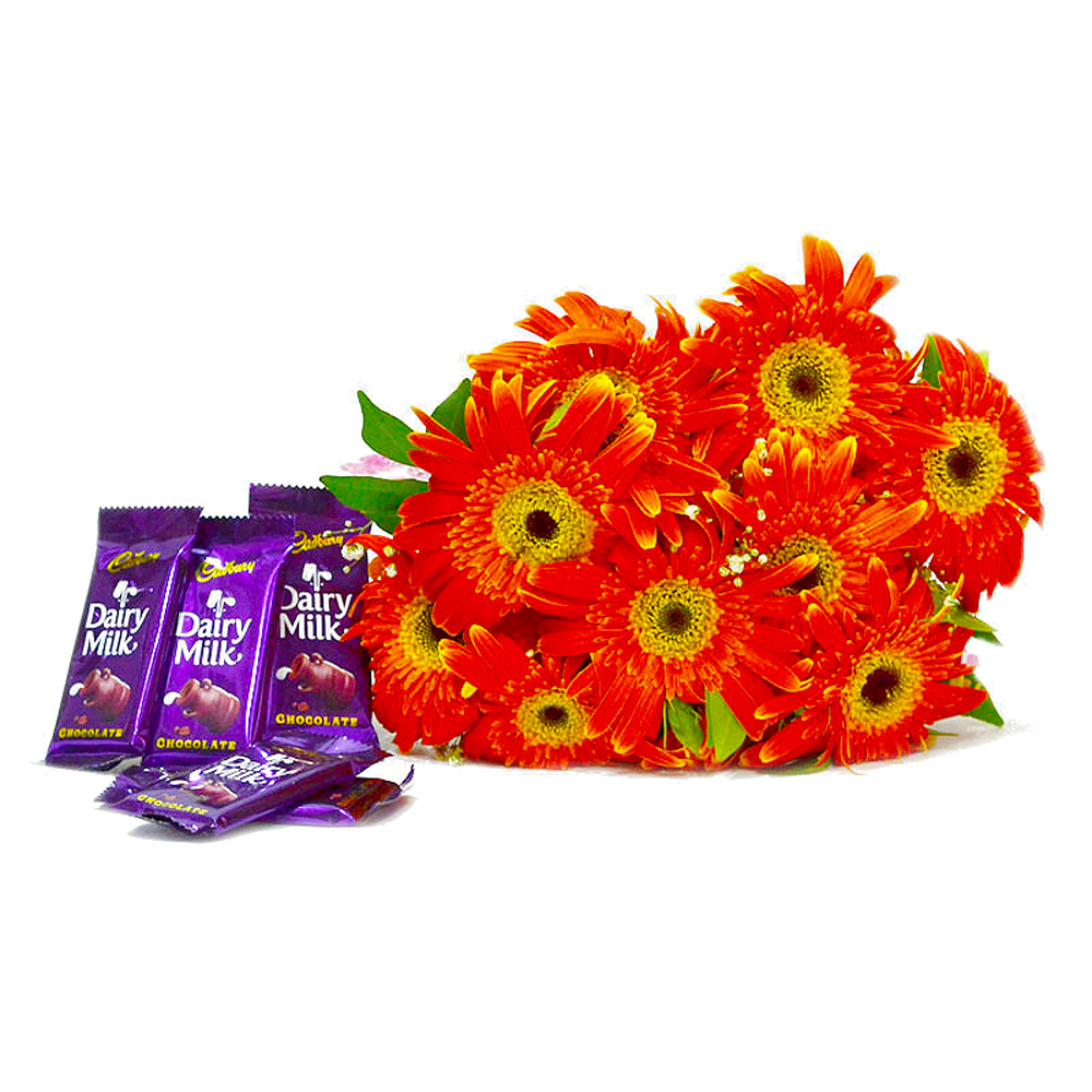 Bouquet of 10 Orange Gerberas with Cadbury Dairy Milk Chocolate Bars