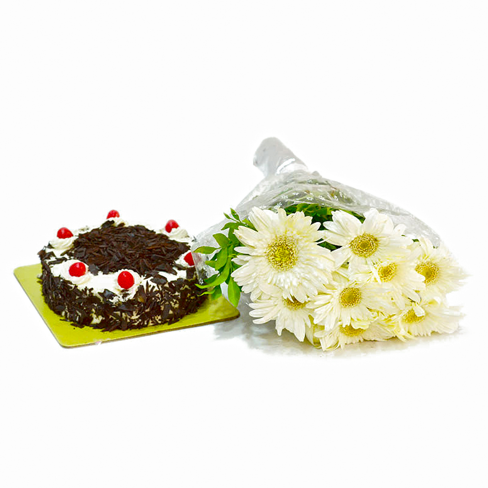 Bunch of 10 White Gerberas with Half Kg Black Forest Cake