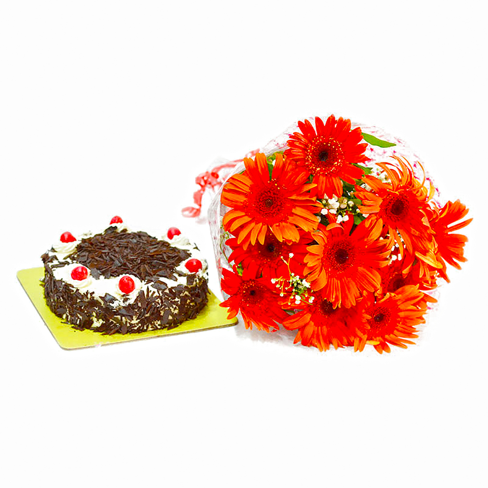Bunch of 10 Red Gerberas  with Black Forest Cake