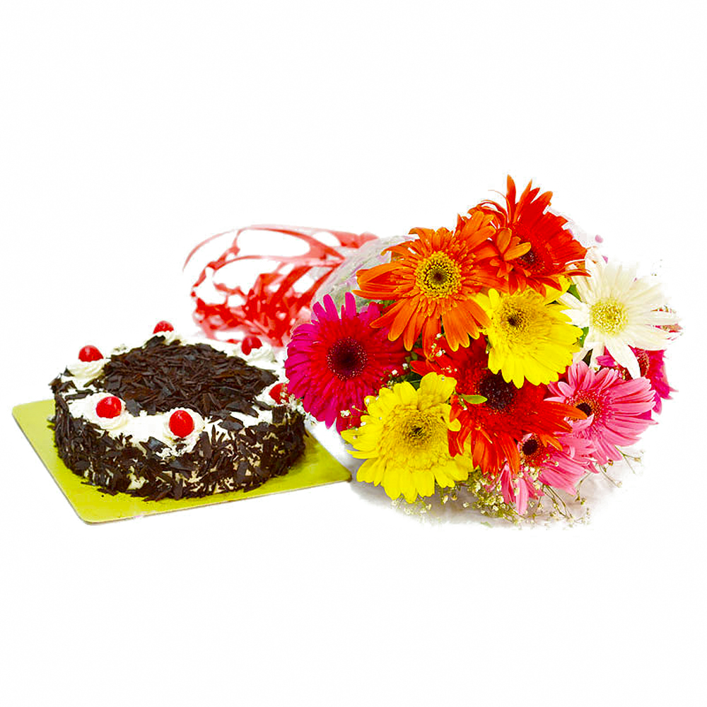 Bright 10 Mix Color Gerberas with Half Kg Black Forest Cake