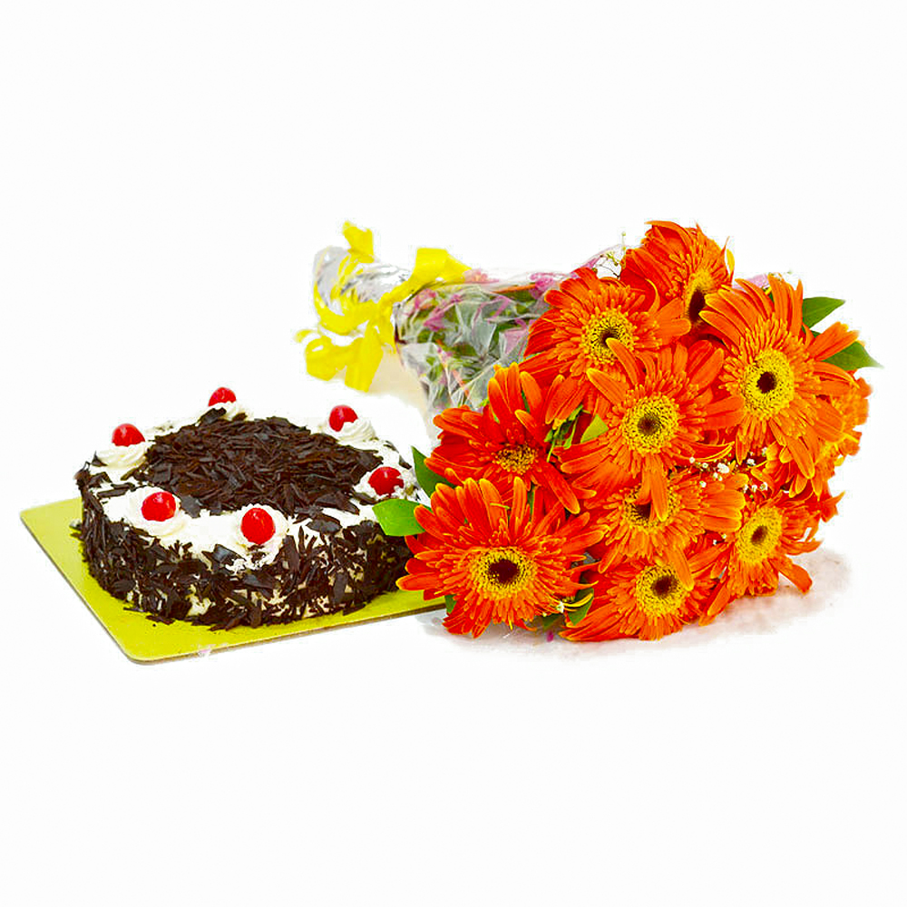 Ten Orange Gerberas Bunch with Black Forest Cake