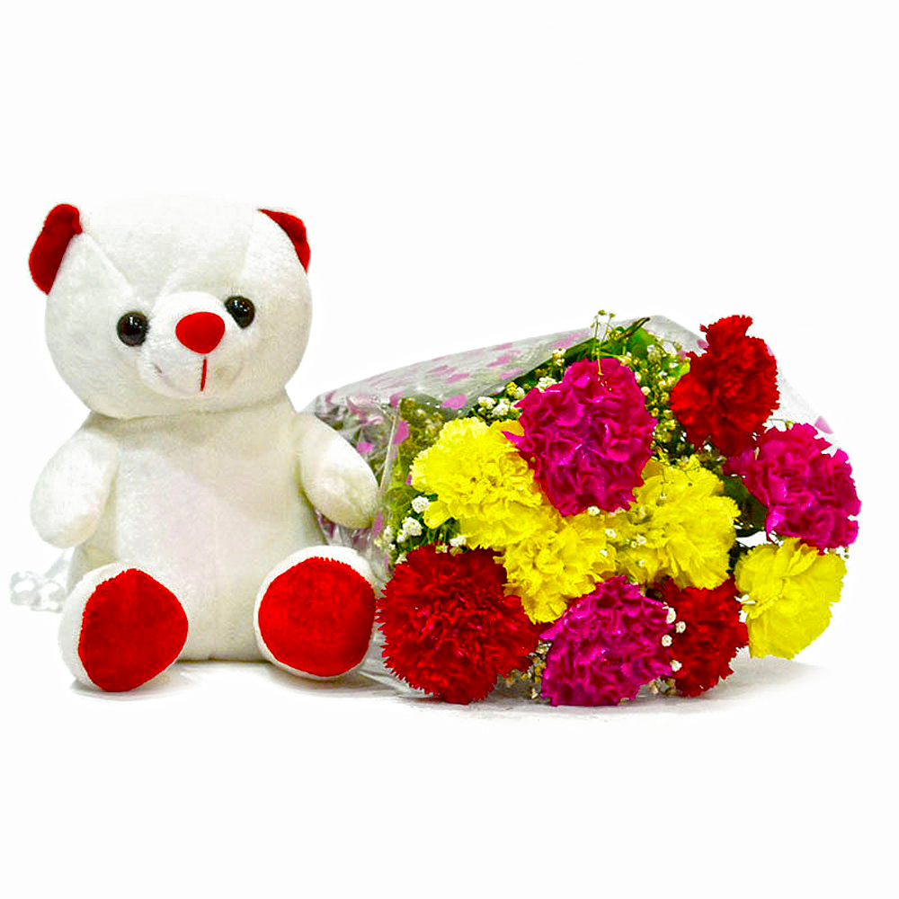 Bouquet of 10 Mix Carnations with Cute Soft Toy