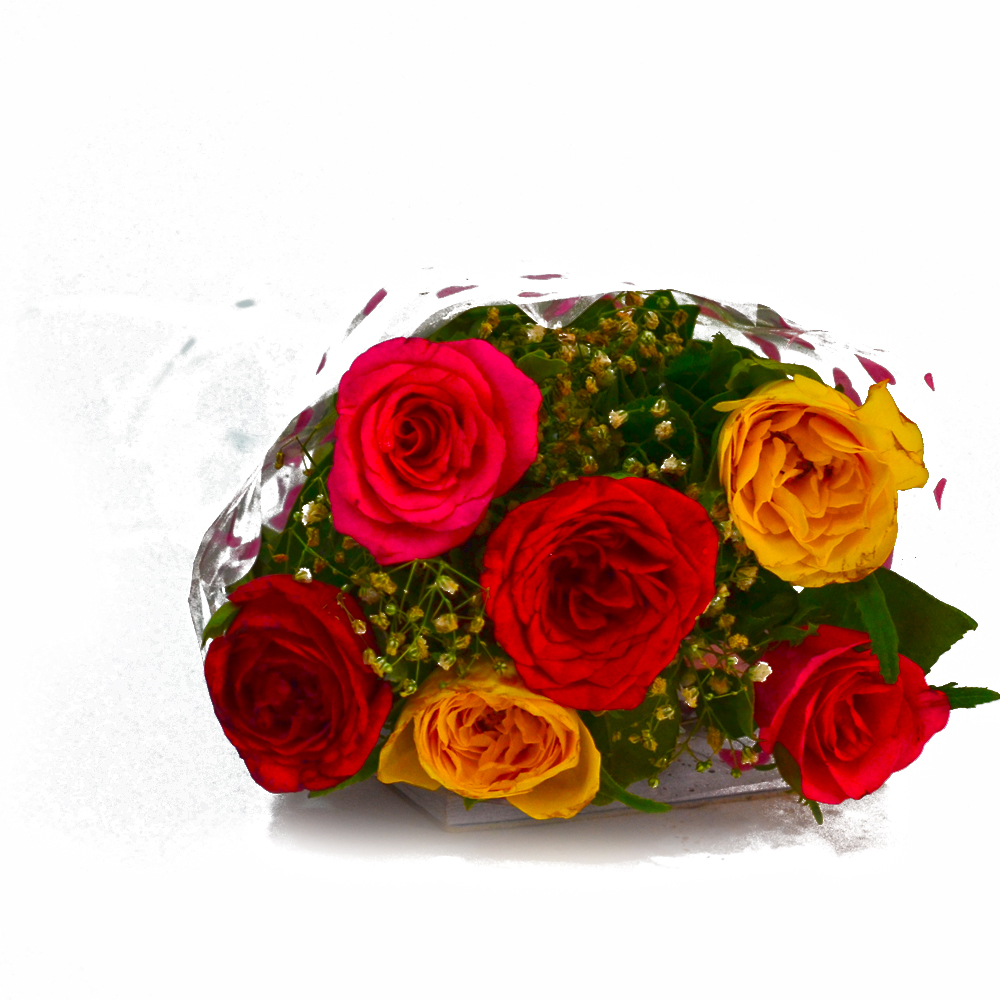Bouquet of Colorful Roses