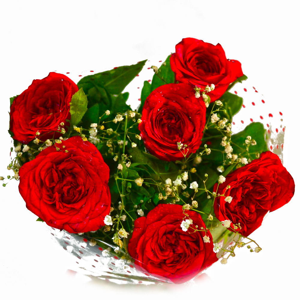 Valentines Special Red Roses !