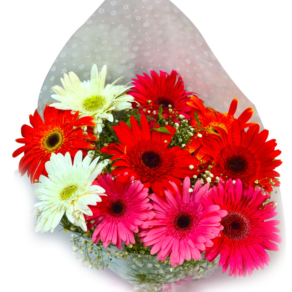 Fresh Mix Gerberas Bouquet