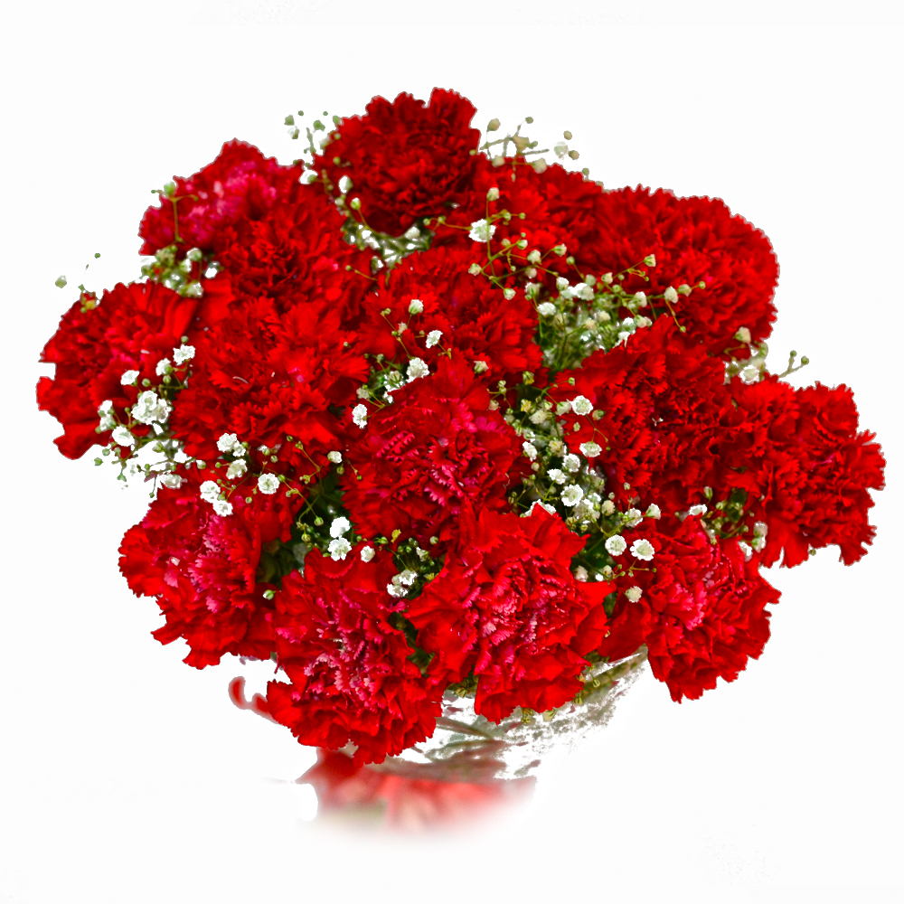 Bouquet of Fifteen Red Carnations