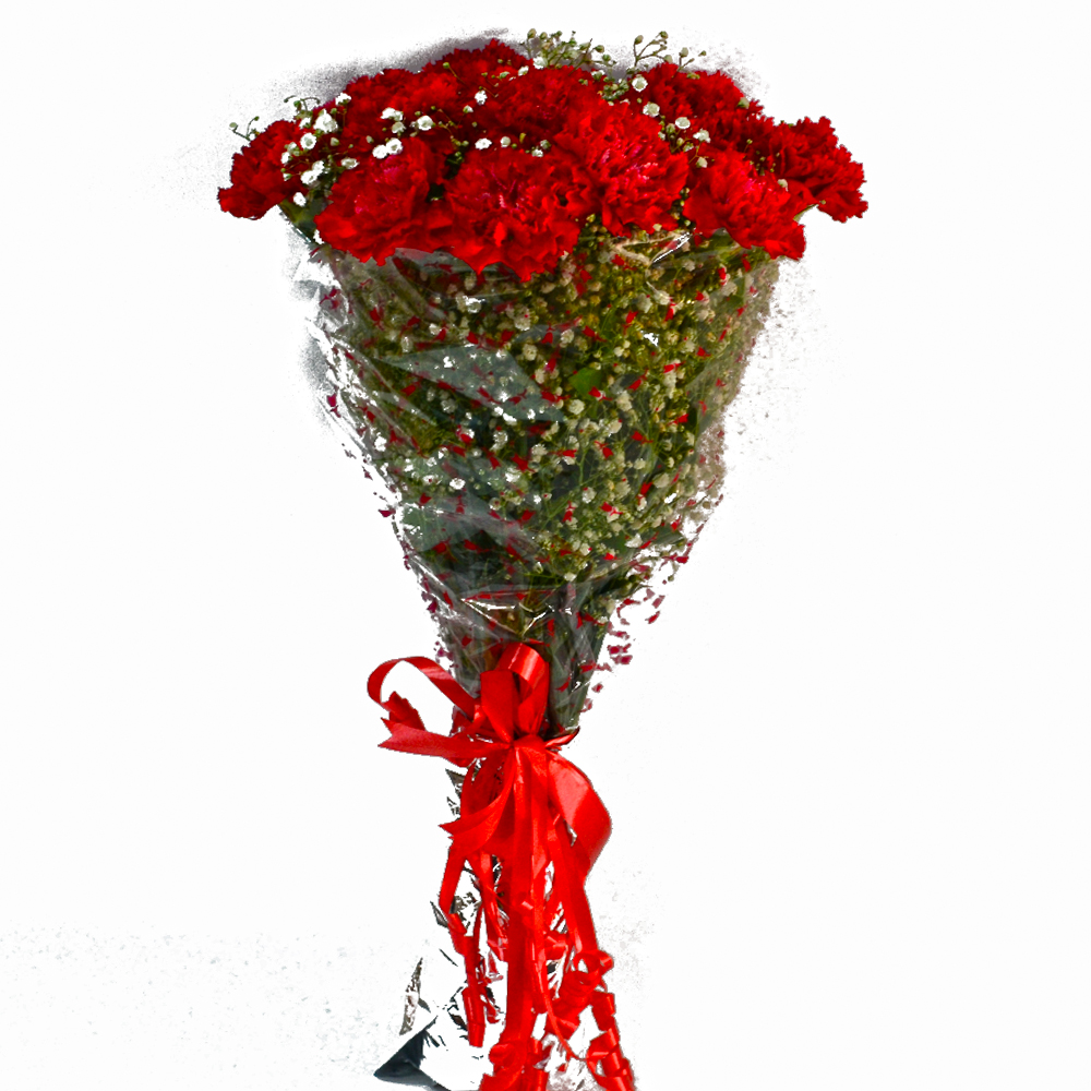 Bouquet of Fifteen Red Carnations