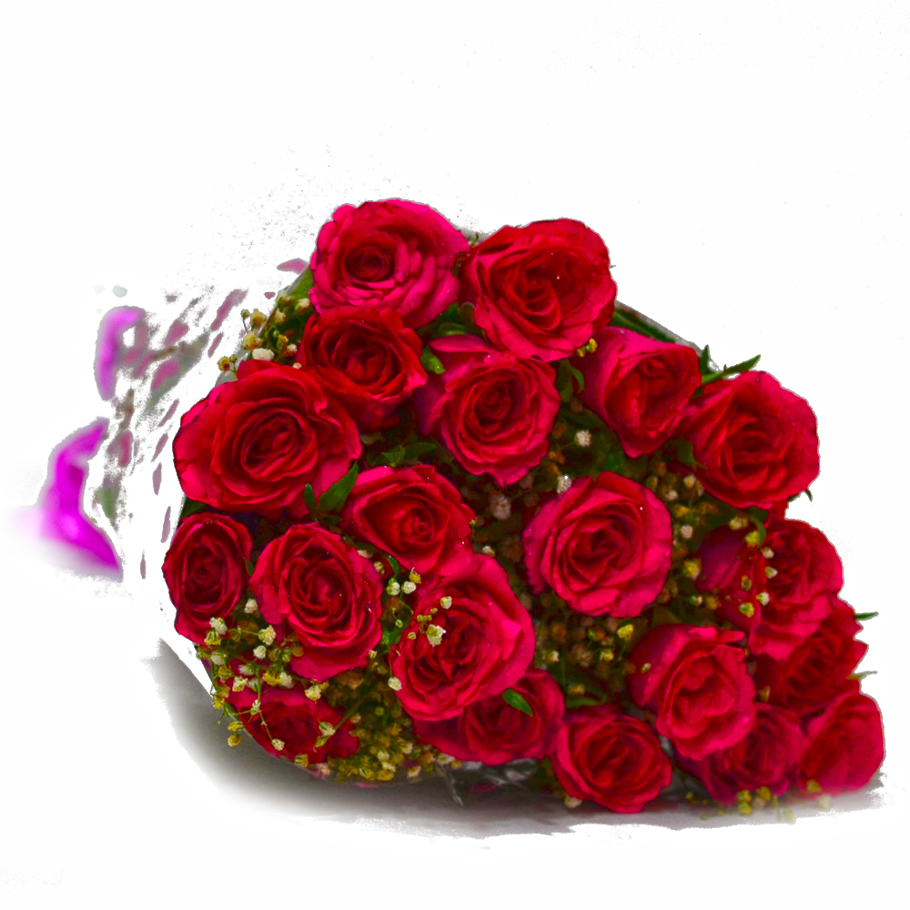 Bouquet of Twenty Red Roses