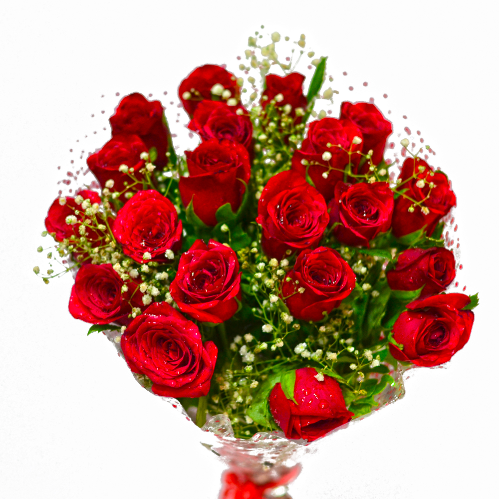 Fresh 25 Red Roses Hand Bunch