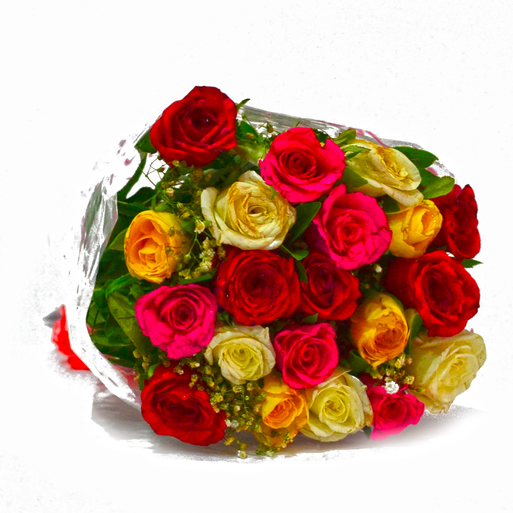 Fresh 20 Multi Color Roses Hand Bunch