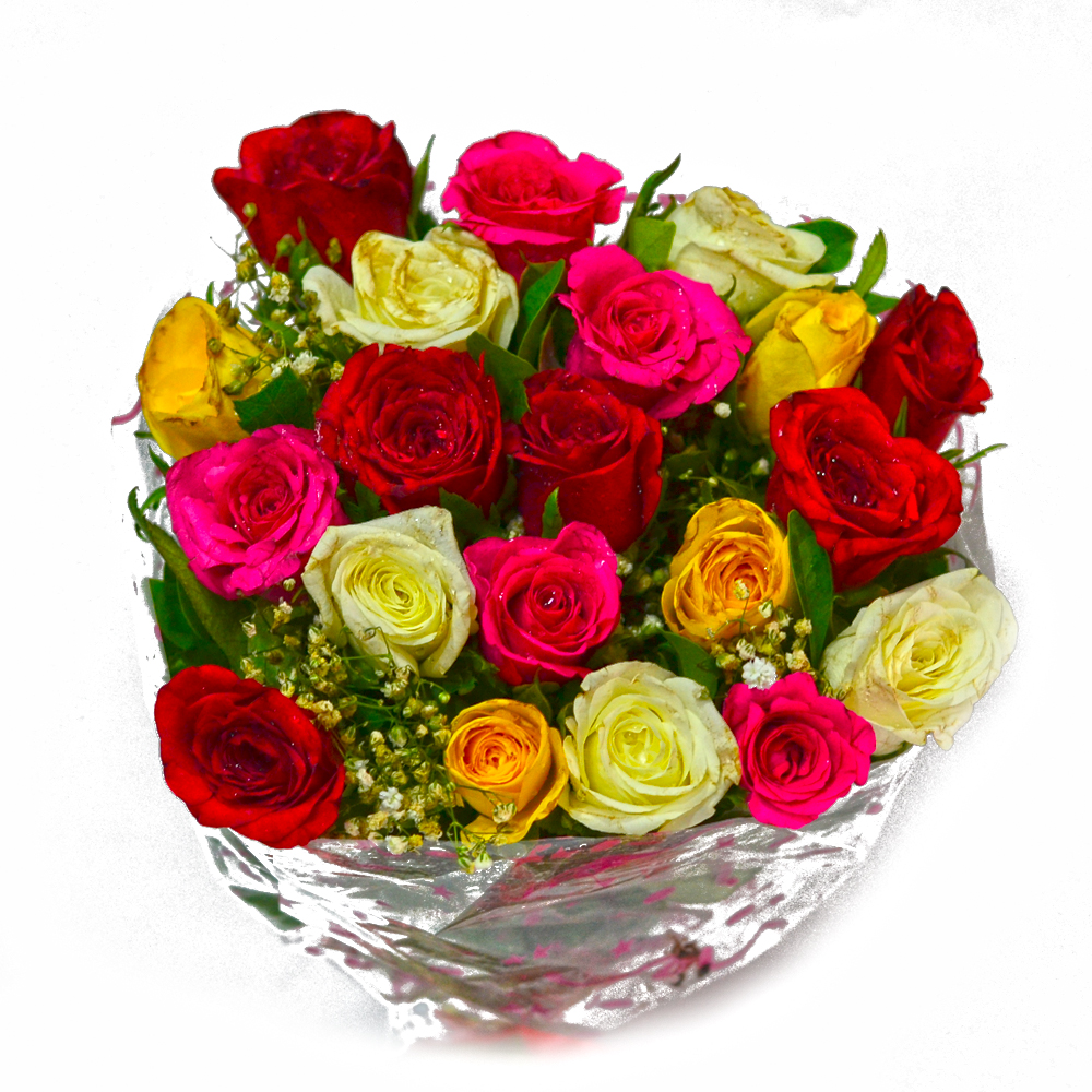 Fresh 20 Multi Color Roses Hand Bunch