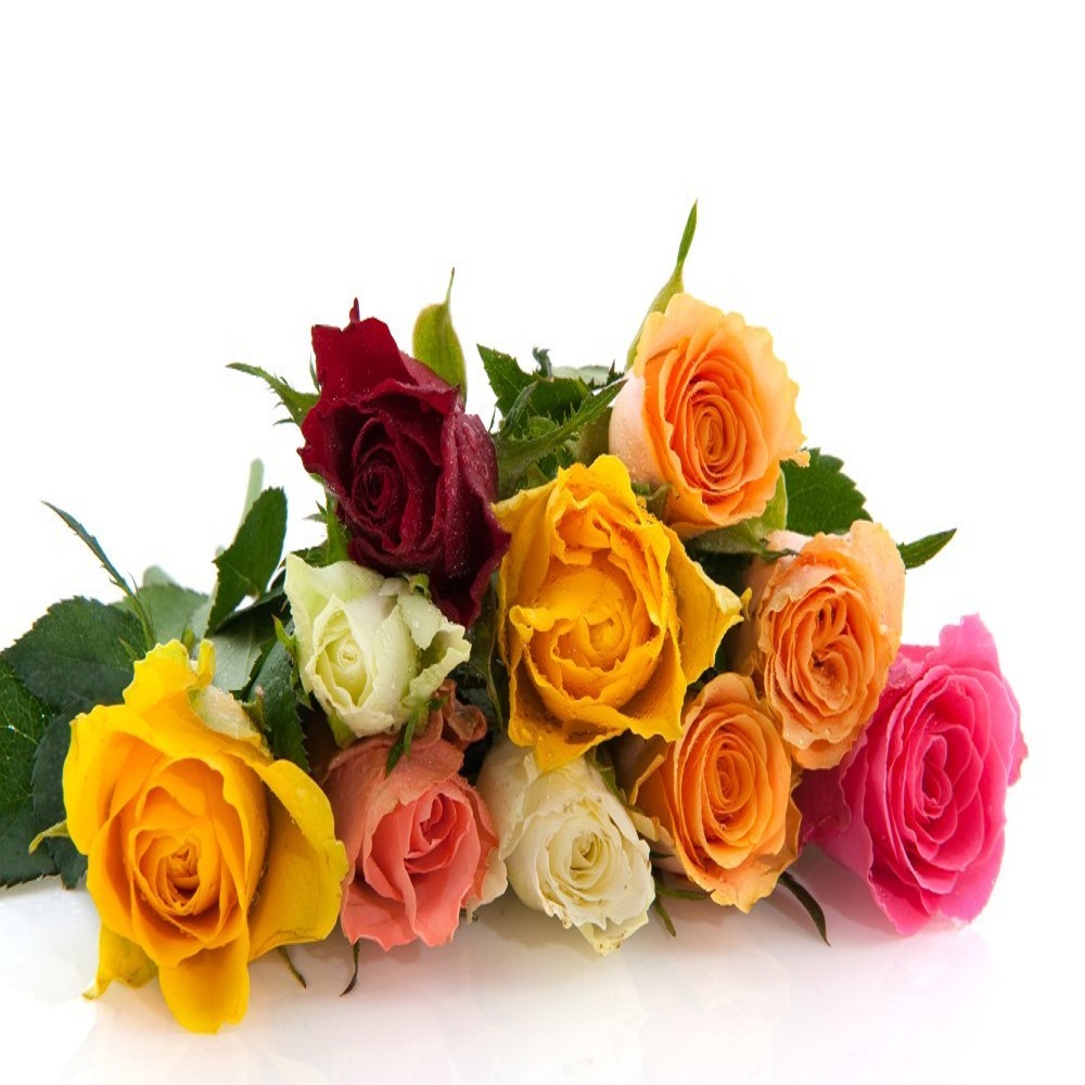 Ten Colorful Roses Bouquet