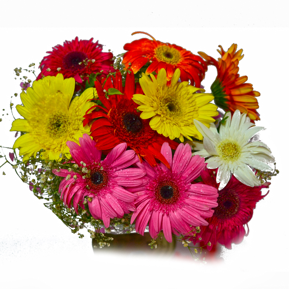 Ten Mix Colour Gerberas Bouquet