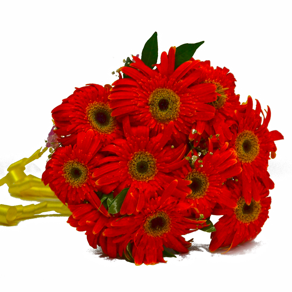 Bright Orange Gerberas Bouquet