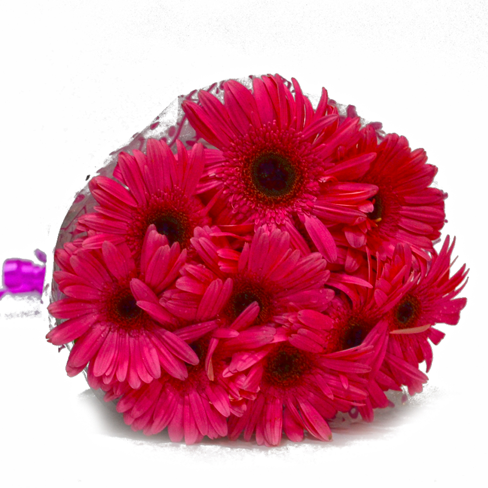 Special Bouquet of Pink Gerberas