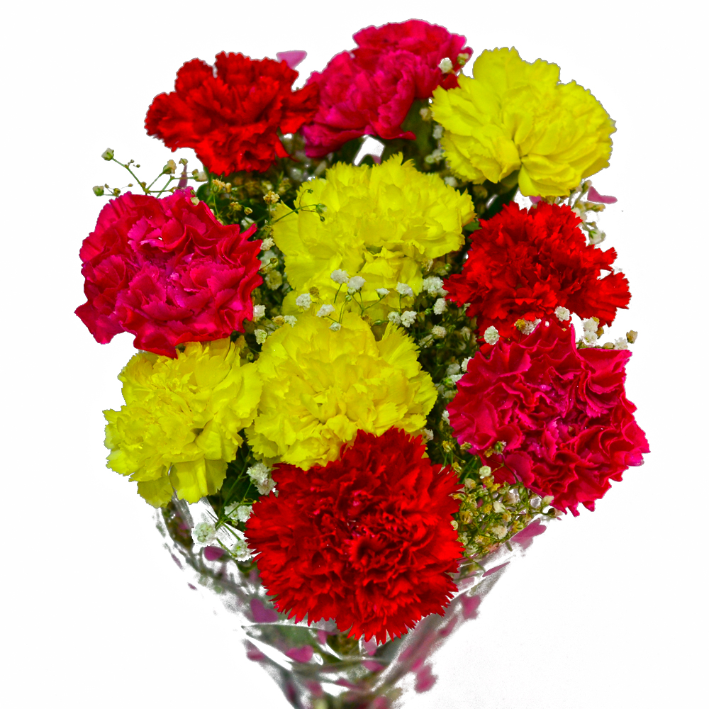 Bouquet of Ten Fresh Carnations