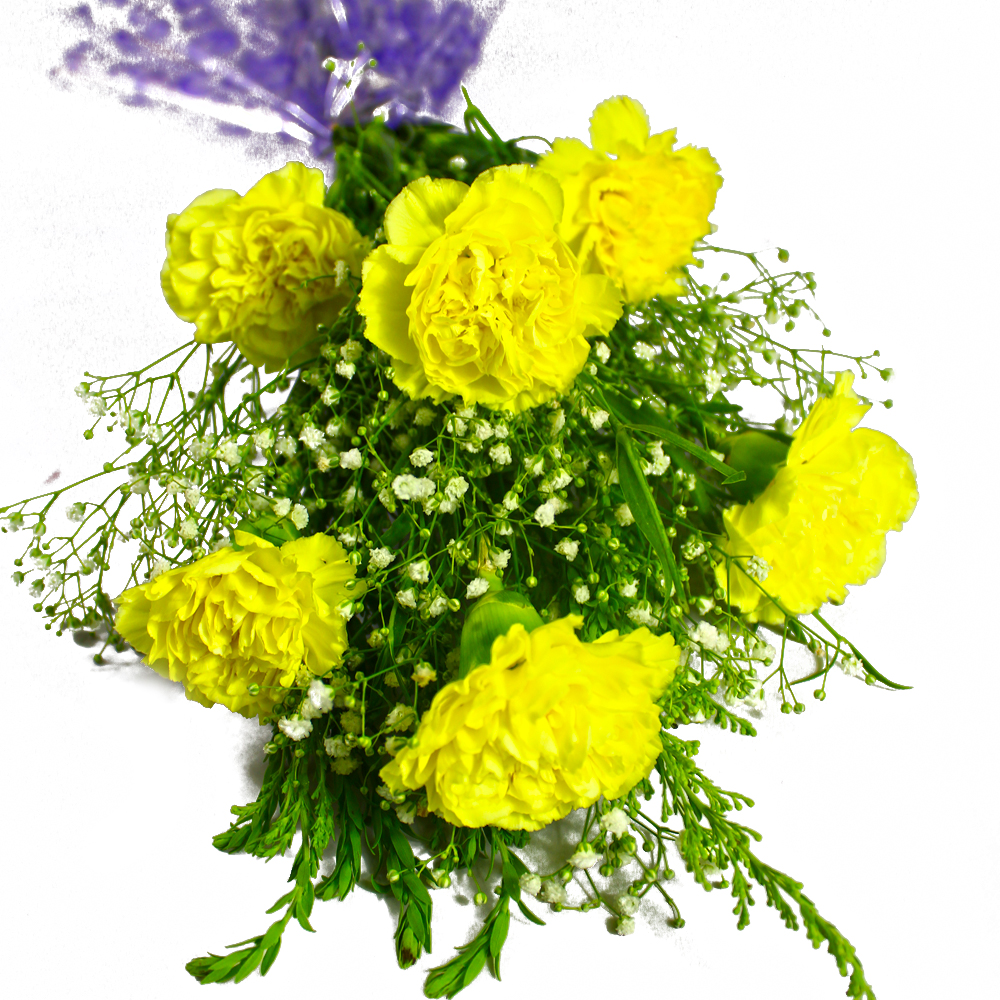 Six Yellow Carnations Bunch