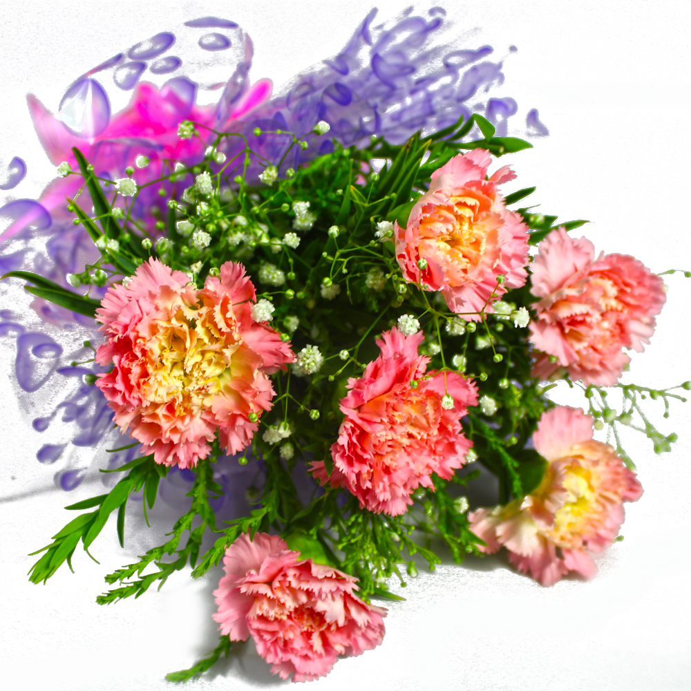 Bunch of Six Pink Carnations