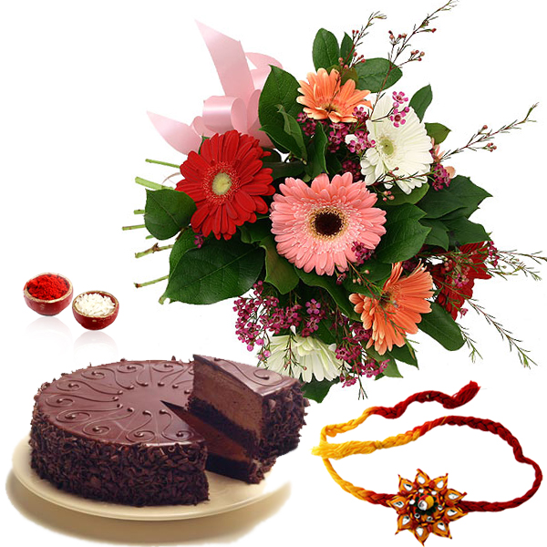 Gerberas Bouquet with Chocolate Cake and Rakhi