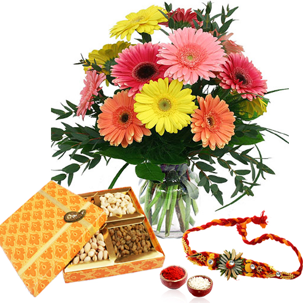 Colorful Gerberas and Assorted Dry Fruits with Rakhi