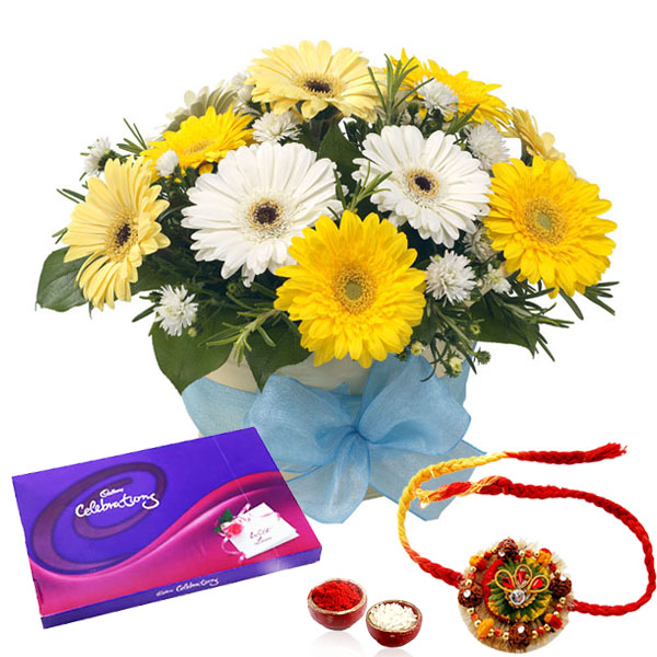 Rakhi Combo of Gerberas and Celebration Chocolate Pack