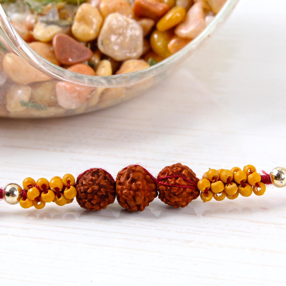 Rudraksha Rakhi for Bother