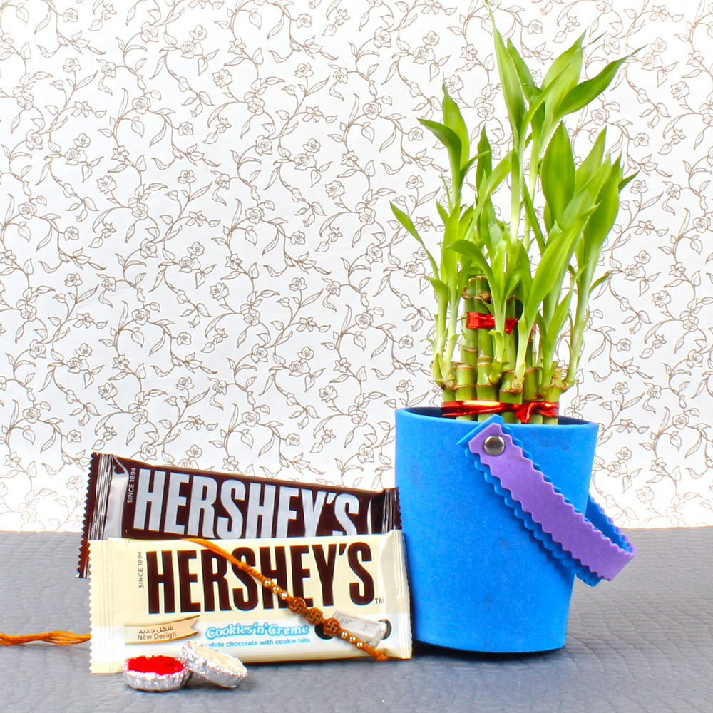 Good Luck Plant with Hershey Chocolates For Bhai