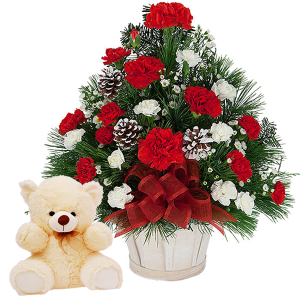 Teddy with Carnations