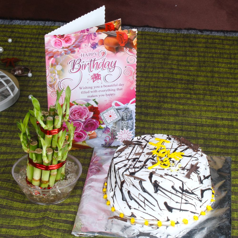 Vanilla Cake and Good Luck Plant with Birthday Card
