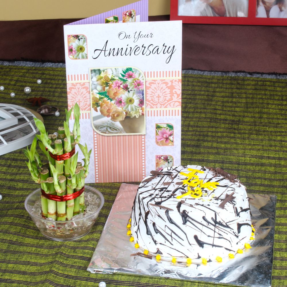 Vanilla Cake and Good Luck Plant with Anniversary Card