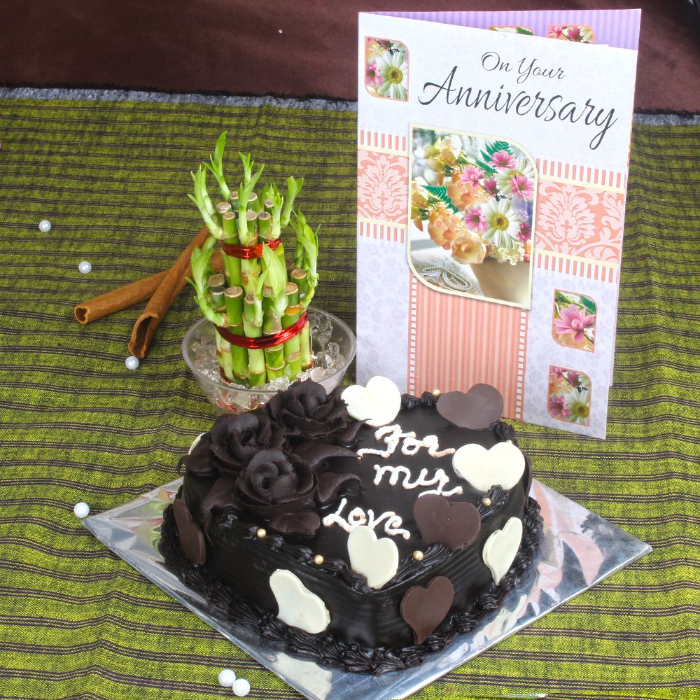 Anniversary Chocolate Cake with Greeting Card and Good Luck Plant