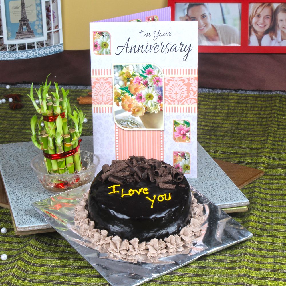 Chocolate Cake and Good Luck Plant with Anniversary Greeting Card