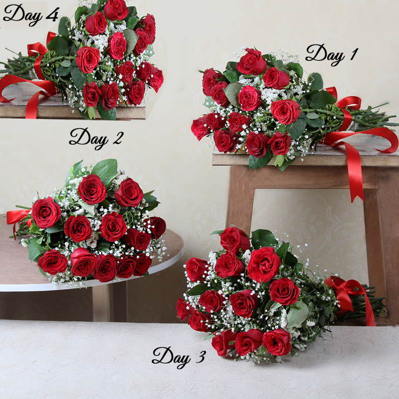 Four Days Delivery of Fresh Red Roses