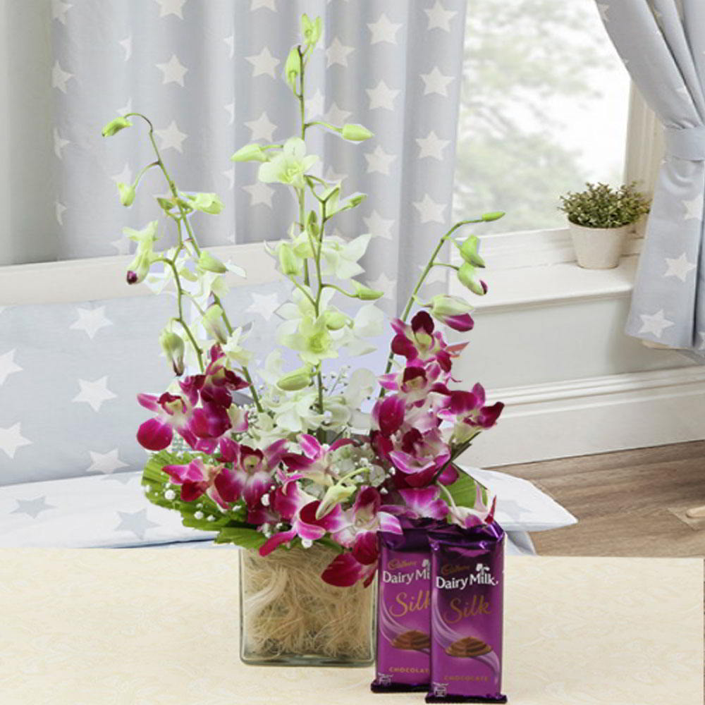 Combo of Six Colorful Orchids Vase with Silk Chocolates