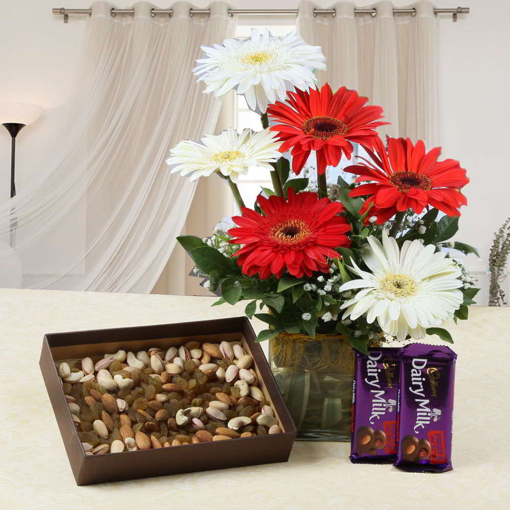 Gerberas Vase and Assorted Dry Fruits with Cadbury Fruit N Nut Chocolates