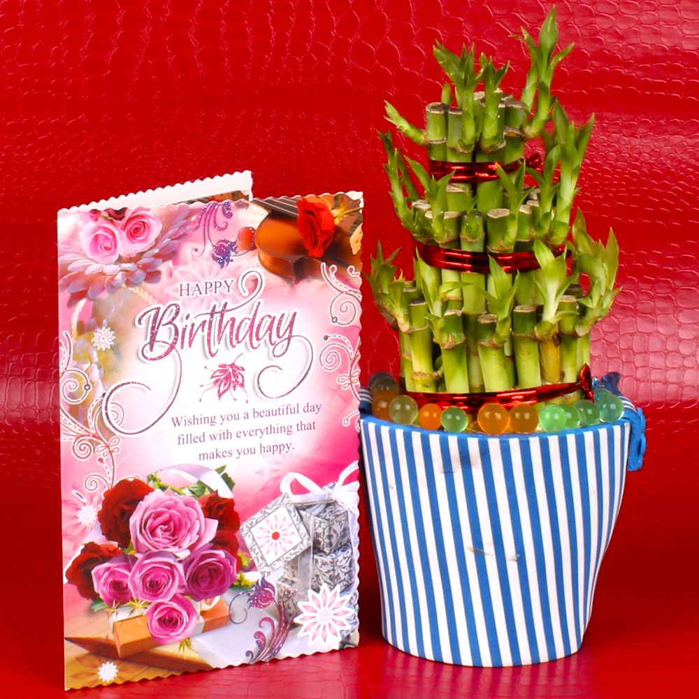 Birthday Greeting Card With Good Luck Plant
