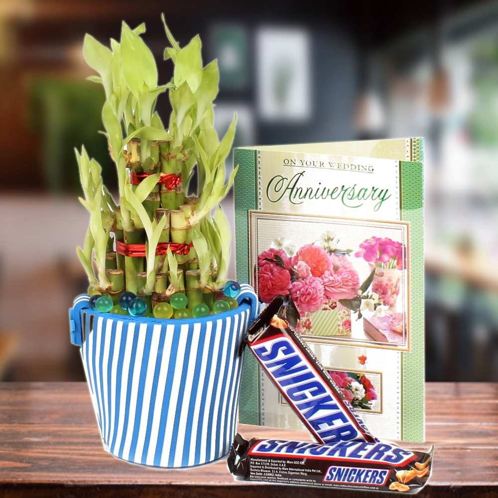 Good Luck Bamboo Plant,Anniversary Card with Snickers Chocolate