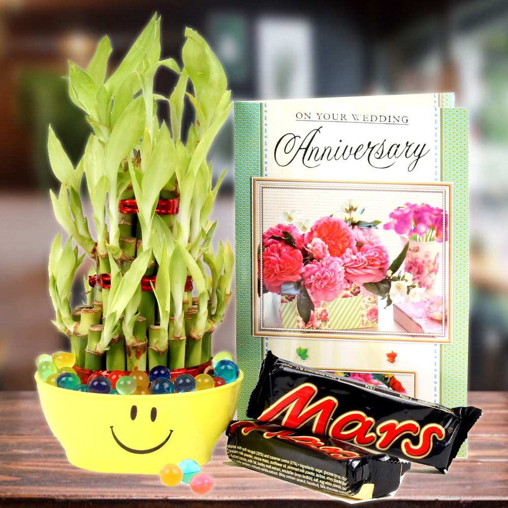 Good Luck Bamboo Plant, Mars Chocolate with Anniversary Card.