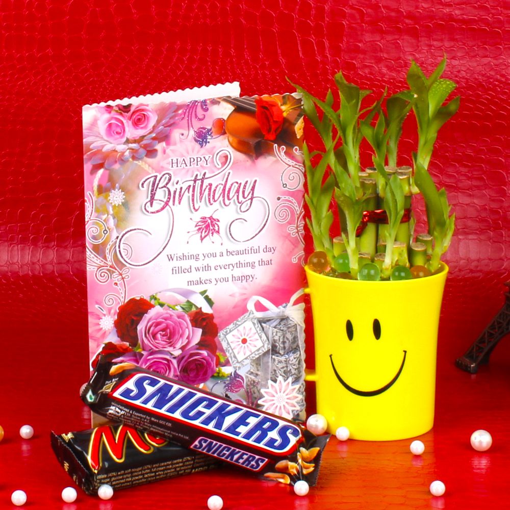 Good Luck Plant,Birthday Card and Chocolates