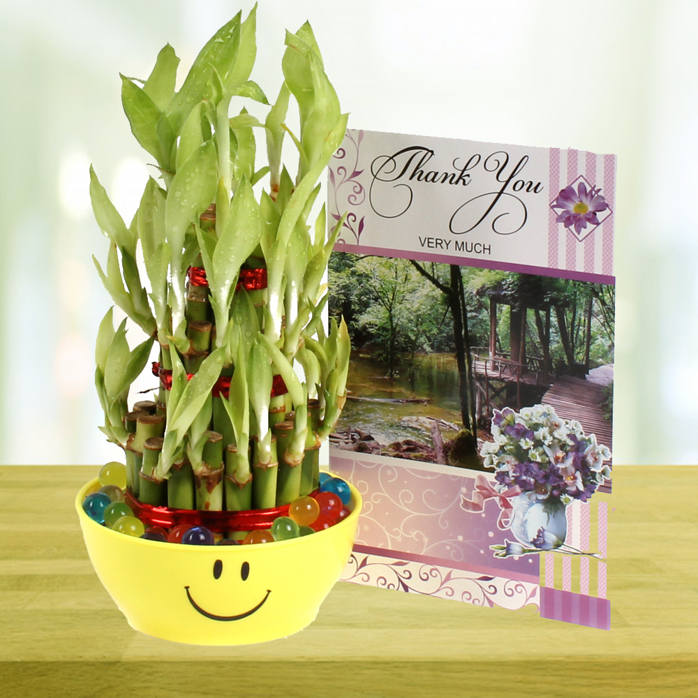 Smiley Good Luck Bamboo Plant and Thank you Card.