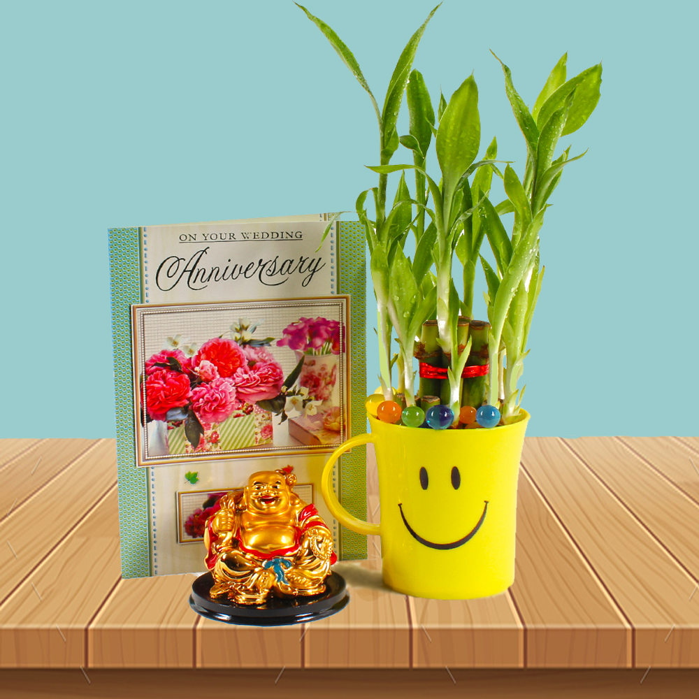 Laughing Buddha and Good Luck Plant with Anniversay Card