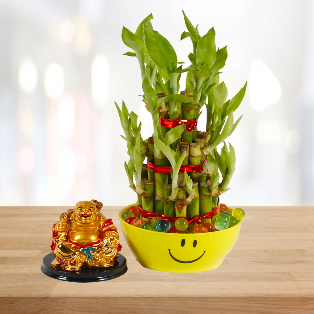 Laughing Buddha with Good Luck Bamboo Plant in a Smiley Bowl