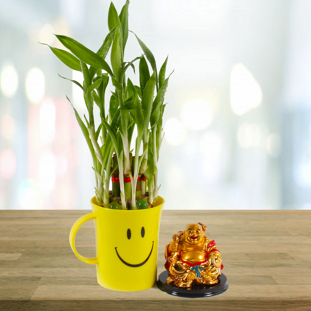 Laughing Buddha with Good Luck Bamboo Plant in a Smiley Mug