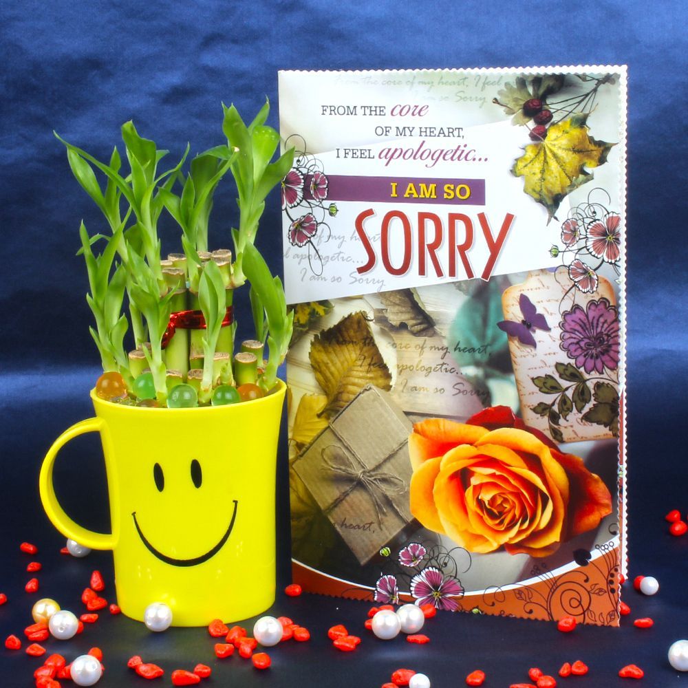 Sorry Greeting Card with Good Luck Plant