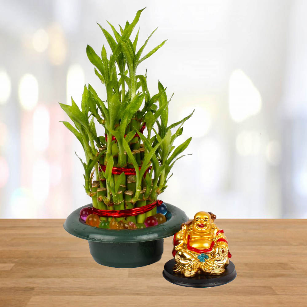 Laughing Buddha with Good Luck Bamboo Plant